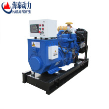 China Price Electric Dynamo 10kW 20KW 30kW Generador de GNPG Set